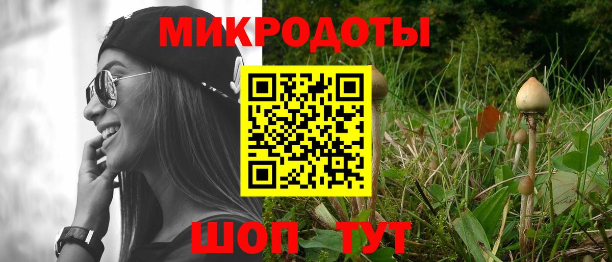 Галлюциногенные грибы Cubensis Котельники